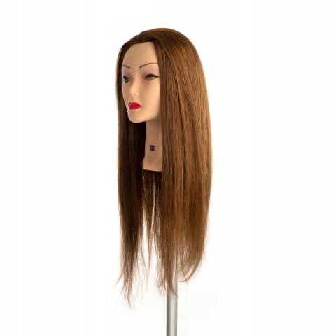 LABOR GŁÓWKA TRENINGOWA WŁOSY LUDZKIE 60 CM I101 LABOR GŁÓWKA TRENINGOWA WŁOSY LUDZKIE 60 CM I101